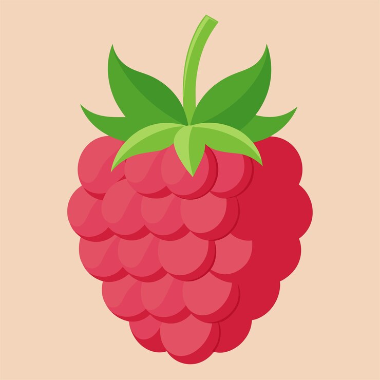 Vector a red raspberry vector illustration