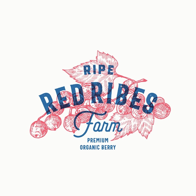 Red Ribes Farm 추상 벡터 기호 또는 로고 템플릿 Retro Typography Vintage Luxury Emblem이 있는 잎 스케치가 있는 손으로 그린 딸기