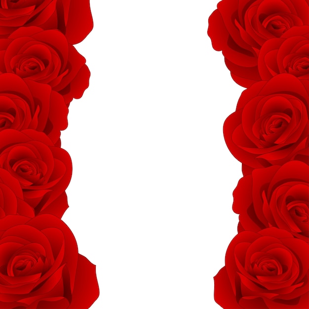 Red Rose Border