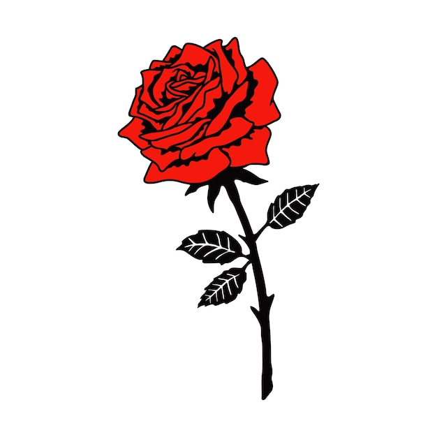 Red rose flower vector illustration isolated on white background