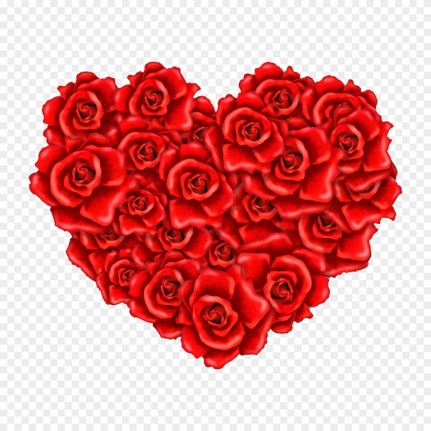 Red rose flower with heart heart shaped