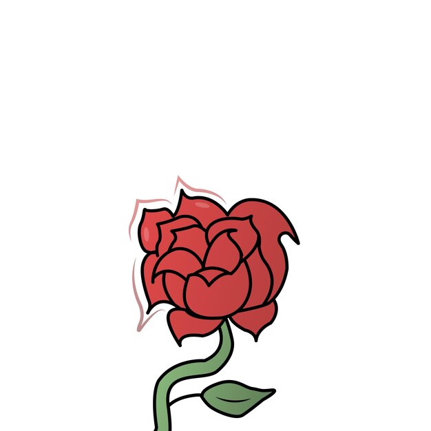 Red rose illustration