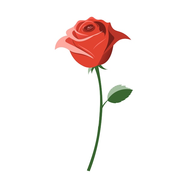 Red rose isolated on white background Vector illustration Flat style