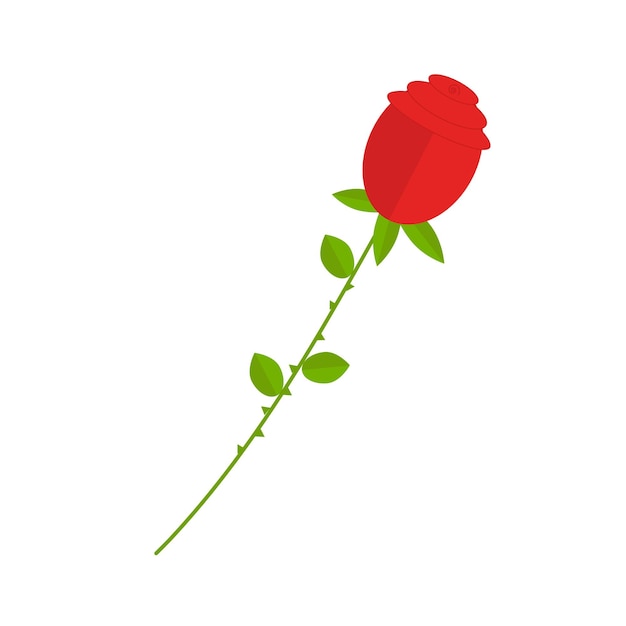 ウェブデザインで使用するための長い茎に赤いバラ
