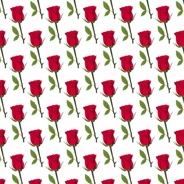 Red Rose Pattern 