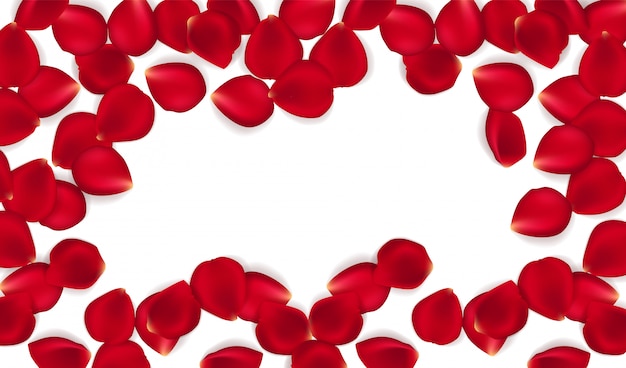 Vector red rose petals  background