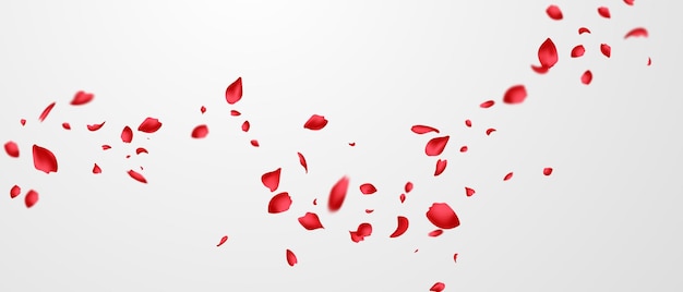 ベクトル 赤いバラの花びらは、ゴージャスなバラの花びらのグリーティングカードのデザインで抽象的な花の背景に落ちます。