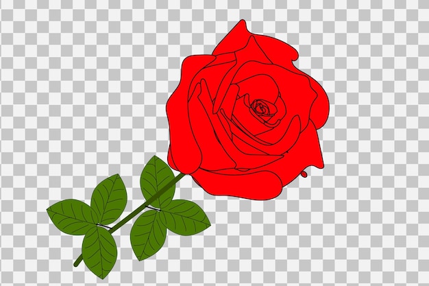 Red rose realistic illustration