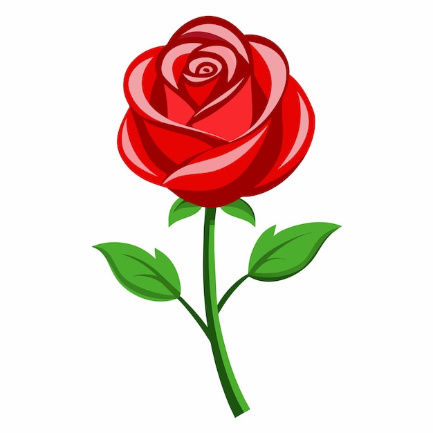 A Red rose vector art illustration 14