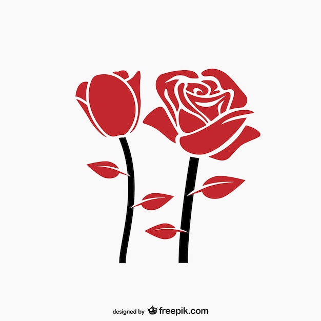 Red rose vector