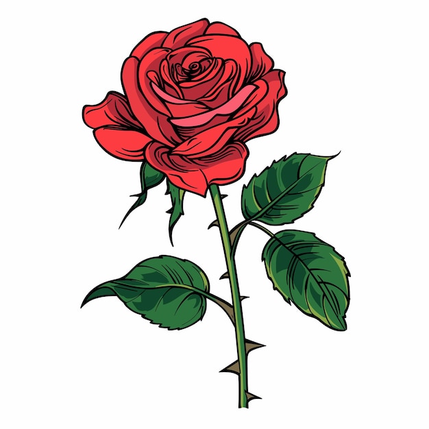 색 배경 에 복잡 한 세부 사항 을 보여 주는 초록색 잎 을 가진 은 장미