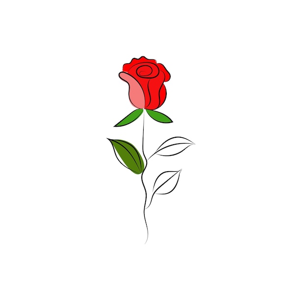 A red rose with green leaves on a white background