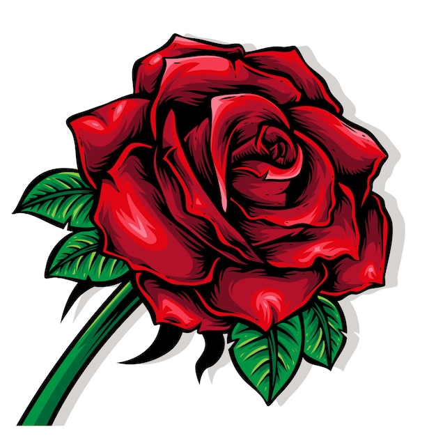 Red rose with leaf  illustration