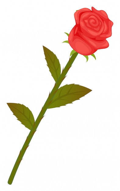 Vector red rose with leaves