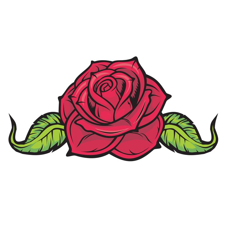 Vector red rose.