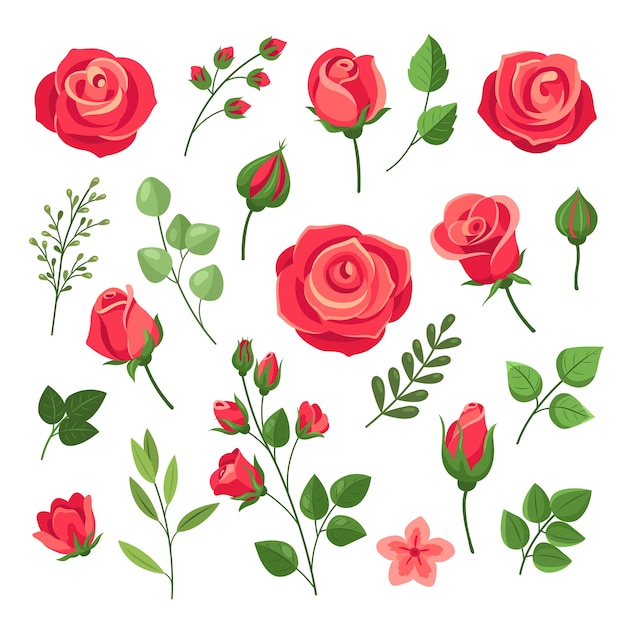 Red roses. Burgundy rose flower bouquets with green leaves and buds. Watercolor floral romantic decor. Isolated cartoon set. Pink and red blooming rose, branch floral blossom illustration