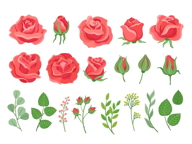 Red roses cartoon Burgundy rose and green leaves Blooming plants garden branches for bouquet Isolated wedding or birthday cards neoteric vector elements