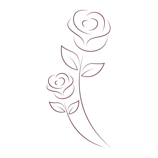 Rose flower line drawing style art design Vector Image