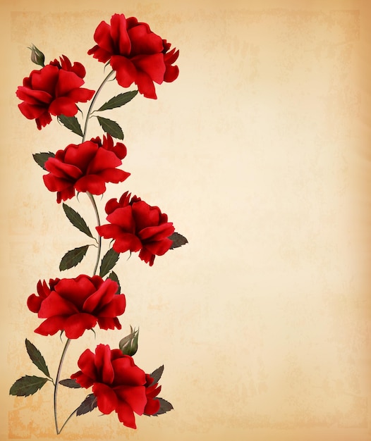 Red roses on old paper background. 