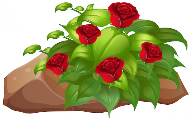 Vector red roses with leaves