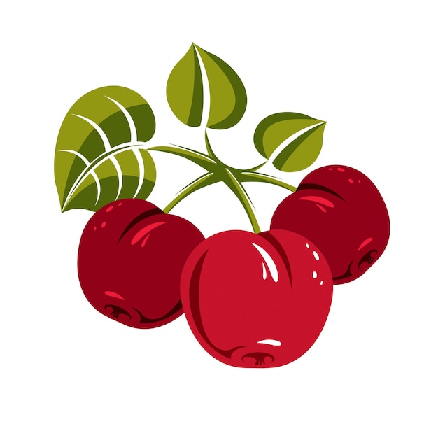 Red simple vector cherries with green leaves, ripe sweet berries illustration. Healthy and organic food, harvest season symbol.