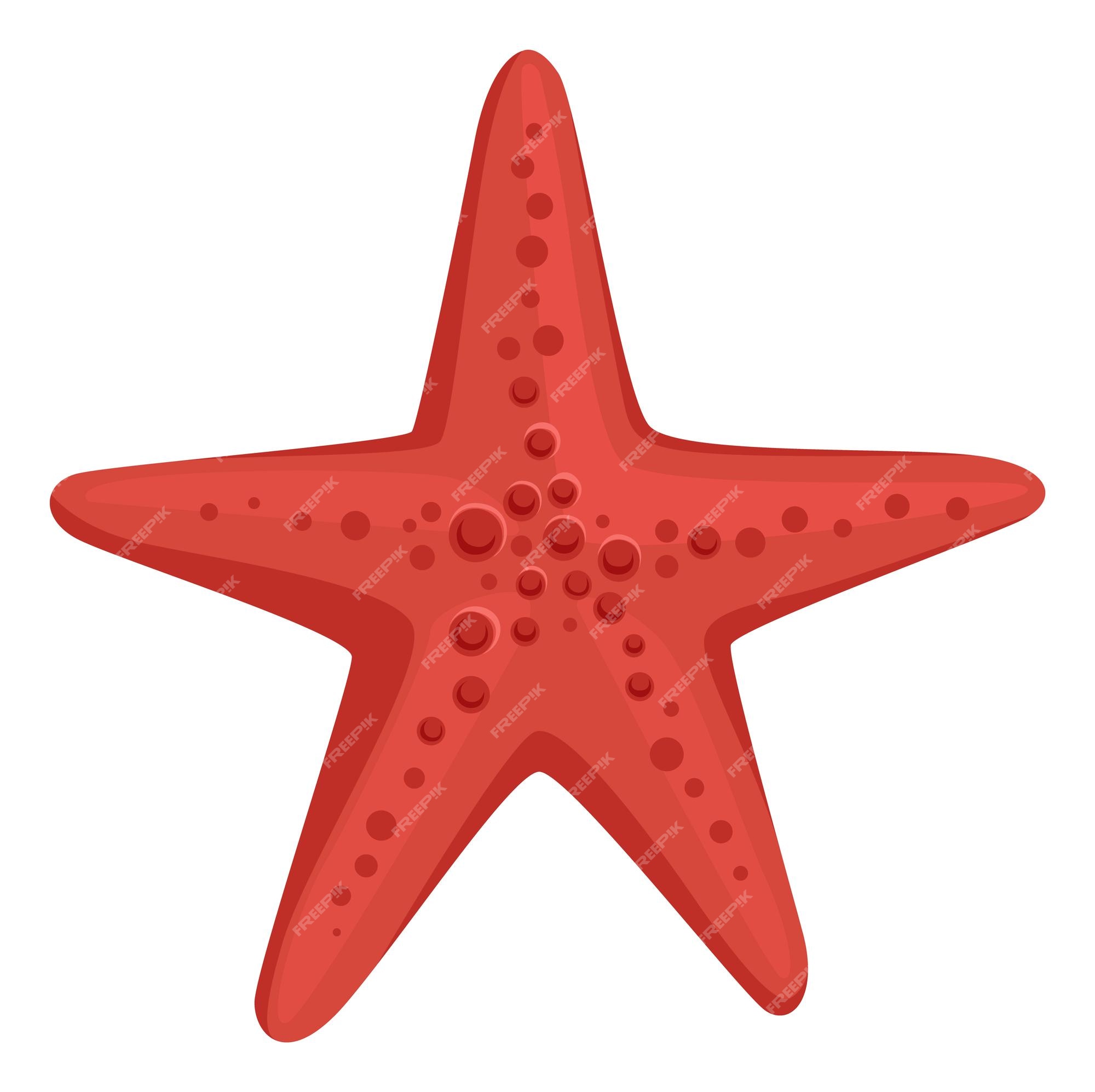 Premium Vector | Red starfish cartoon ocean beach sand animal Premium Vector | Red starfish cartoon ocean beach sand animal