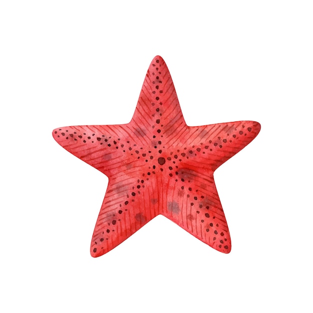 Акварельные иллюстрации красная морская звезда, изолированные на белом фоне милый мультипликационный персонаж вектор