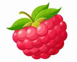 Vector red testy raspberry vector illustration