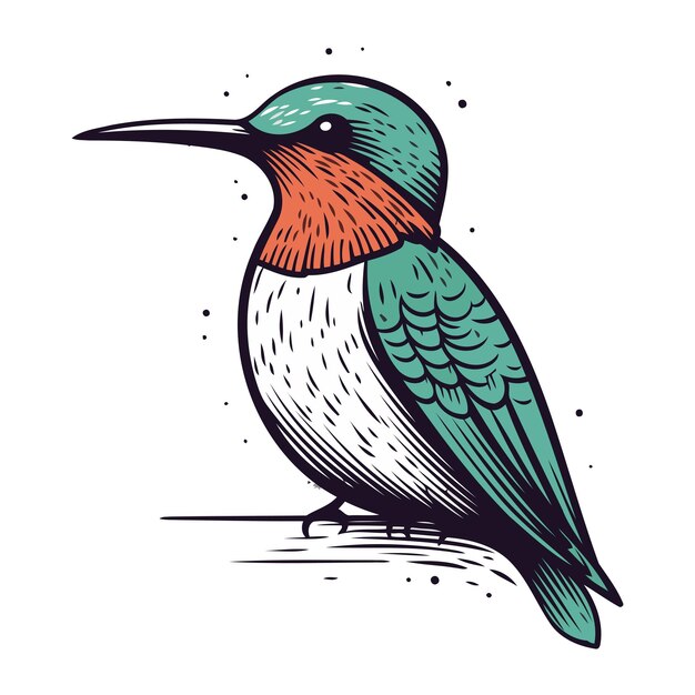 Red throated Bee eater bird vector illustration