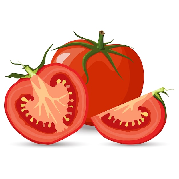 赤いトマトと半分のトマトと緑の葉のフラットベクトルスタイルでスライス