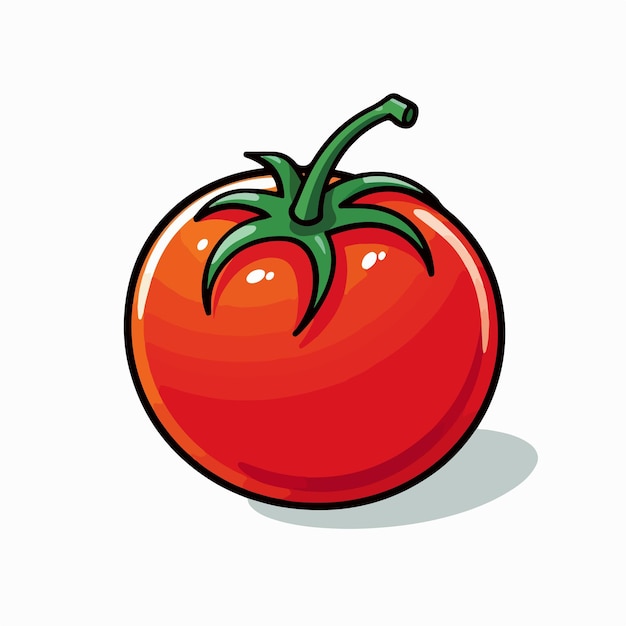 Vector red tomato flat vector illustration red tomato hand drawing isolated vector illustration