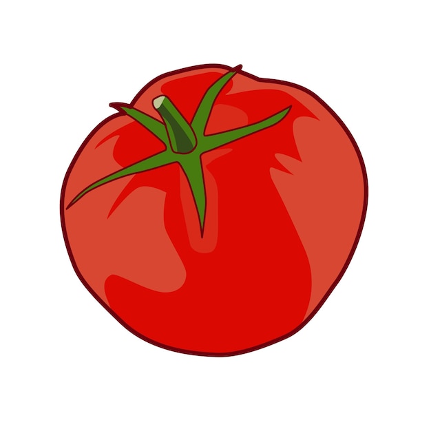 Disegno vettoriale dell'illustrazione della frutta del pomodoro rosso