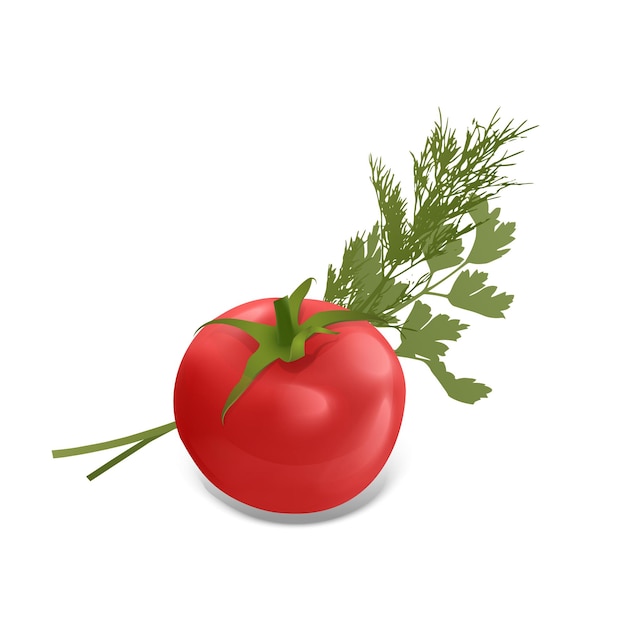 Красный помидор зеленая сырая петрушка и пучок свежего укропа приправы