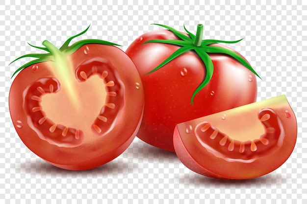 Red tomato and half tomatoes and slice with green leaves realistic vector