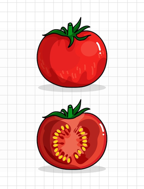 Vector red tomato illustration
