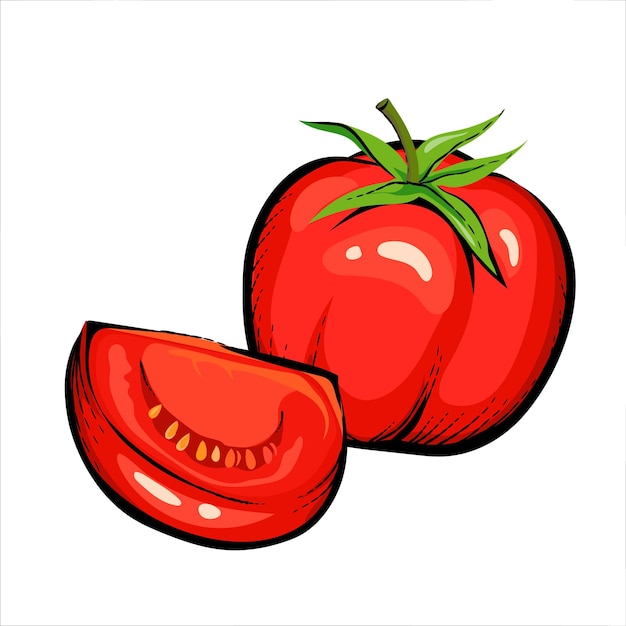 Red tomato whole and pieces hand drawn vector illustration isolated