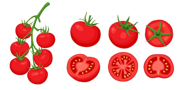 red tomatoes on a white background