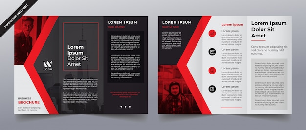Vector red trifold business brochure template
