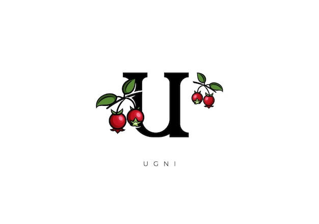 Red UGNI FRUIT Vector Great combination of Ugni Fruit symbol with letter U