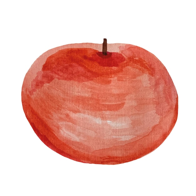 Red watercolor apple Harvest Useful snack Vector illustration