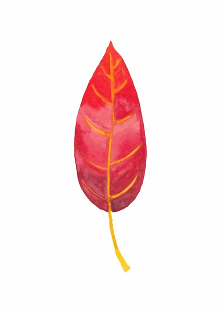 赤い水彩芸術的な葉秋の時間白で隔離されます。