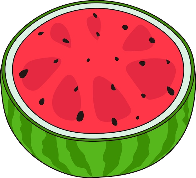 Vector red watermelon slice illustration