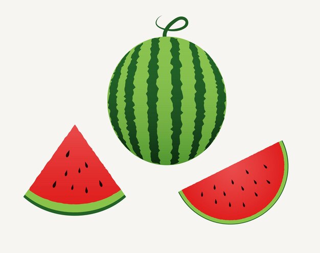 Vector red watermelon vector