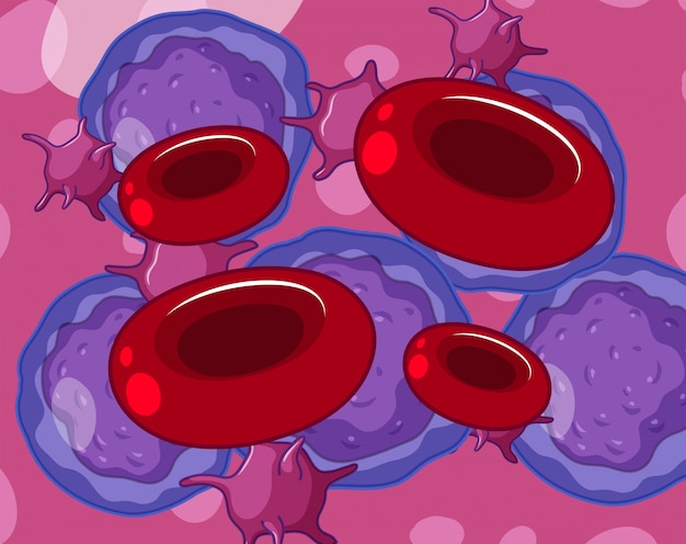 ベクトル 赤白血球および血小板