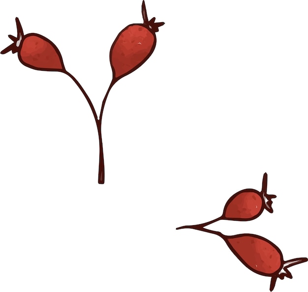 Vector red wild berries