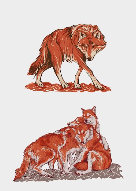 Vector red wolf vector