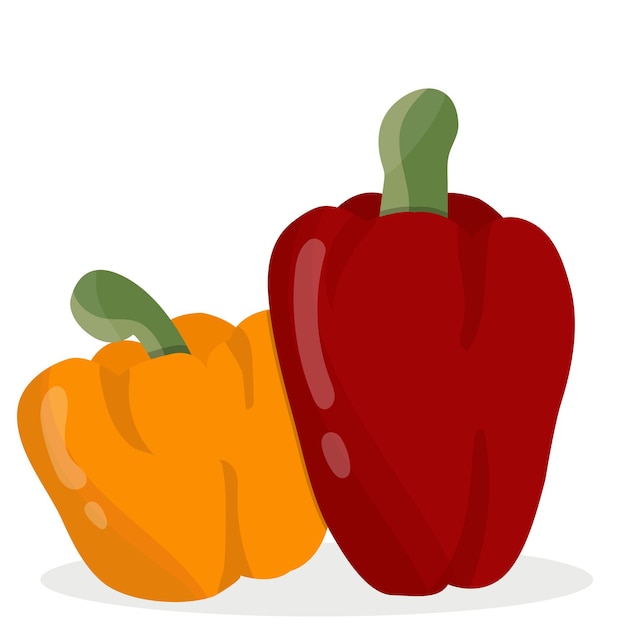 Vector red and yellow bell pepper