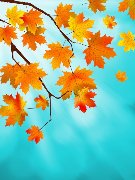 Vector red and yellow leaves against a bright blue sky. bokeh effect.   file included