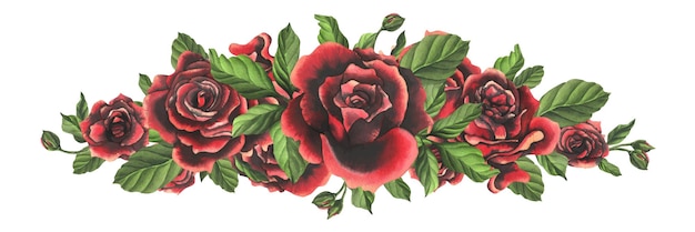 Redblack rose flowers with green leaves and buds chic bright beautiful hand drawn watercolor