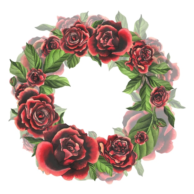 Vettore fiori di rosa rosso-nero con foglie e boccioli verdi eleganti brillanti bellissimi acquerelli disegnati a mano